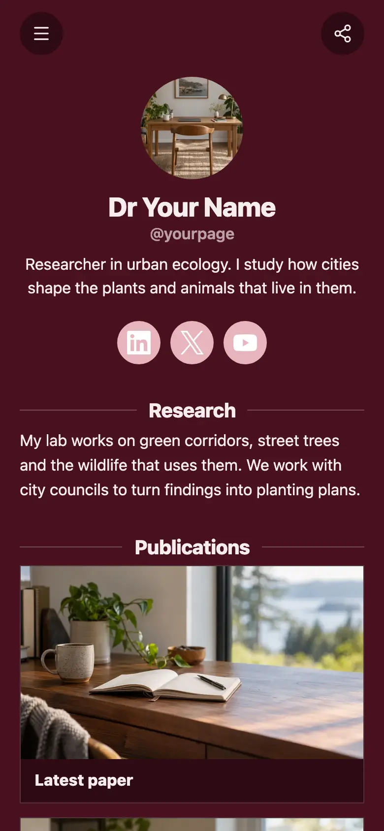The Academic & Researcher template
