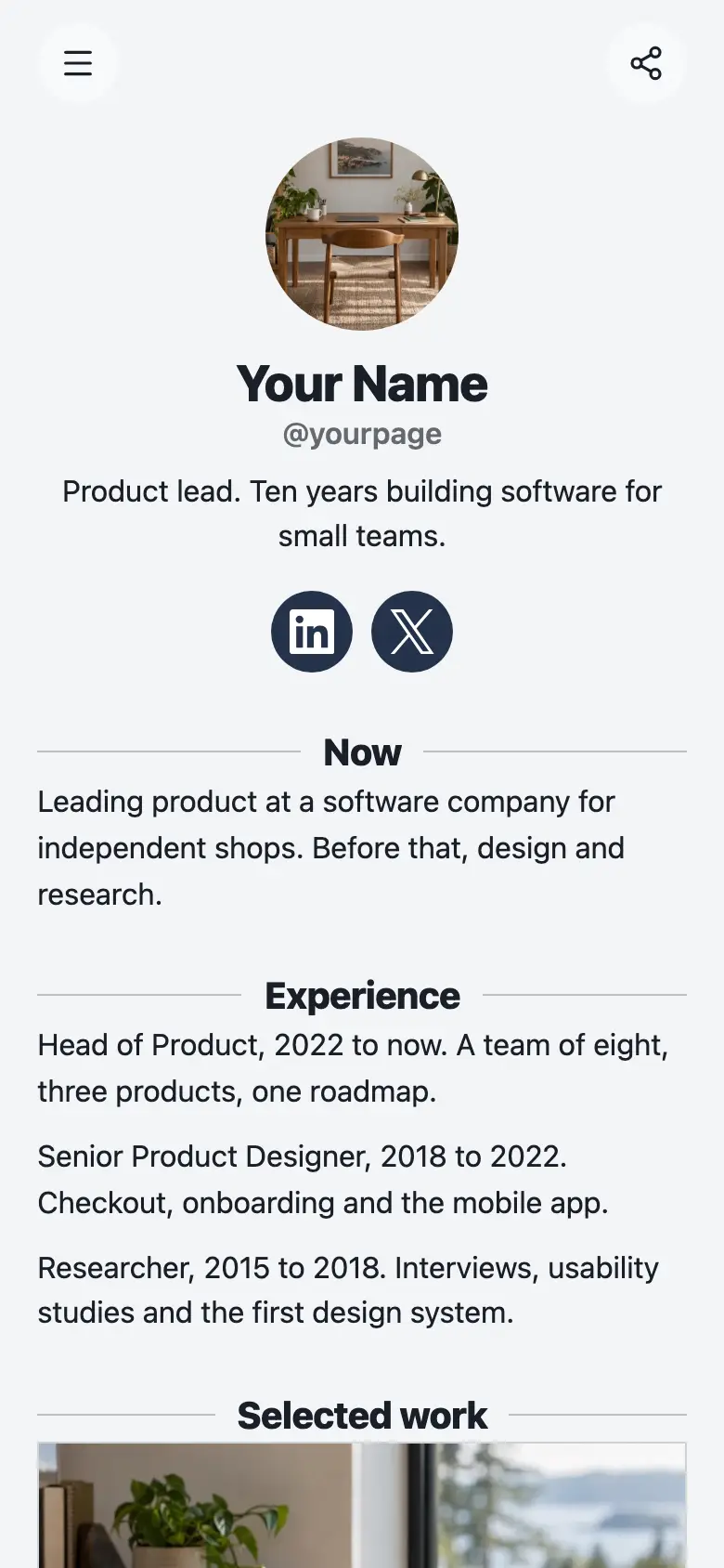 The Professional Profile template